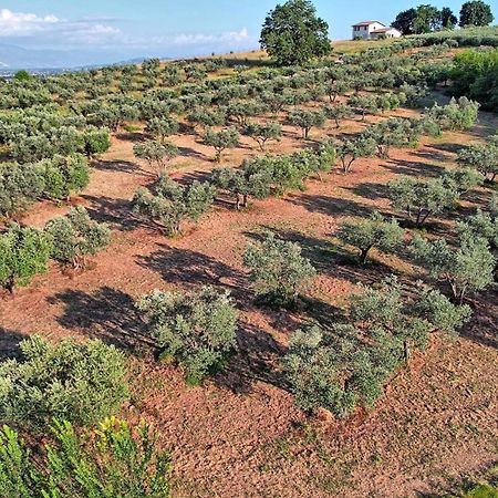 Agriturismo Incanto Della Natura 卡纳拉 外观 照片